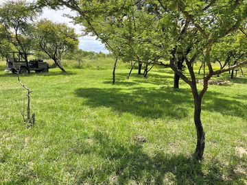 Grass and earth pitch