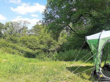 View of meadow and woodland from our pitch