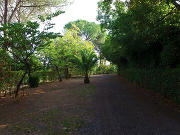 View of the pitches
