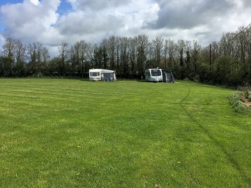 Trees around the field