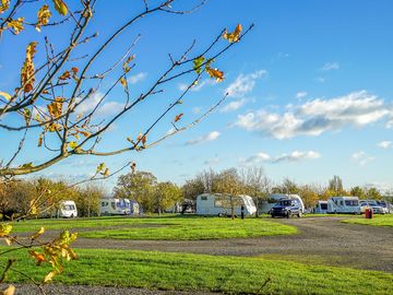 Spacious pitches surrounded by trees