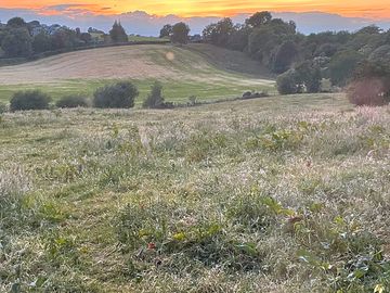 Sunset at daly farm