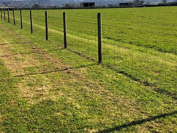 Neatly mown pitches