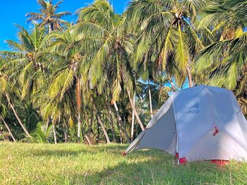 Ptch in the shade of coconut trees