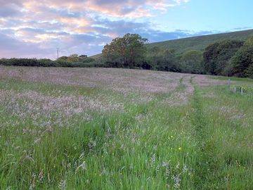 Main field at dusk