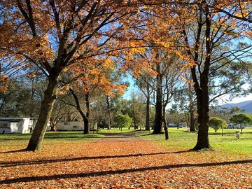 The grounds in autumn