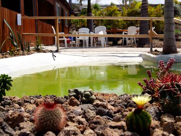 Guests can relax in common areas