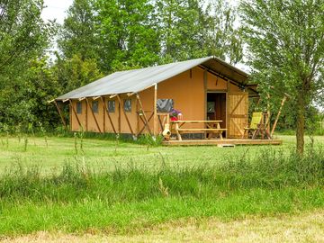 6-person safari tent