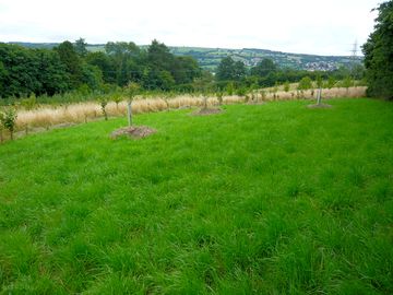 Camping pitch in a hilltop clearing