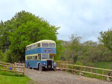 Bus surrounded by greenery