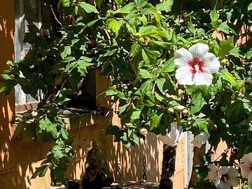 Nature all around
