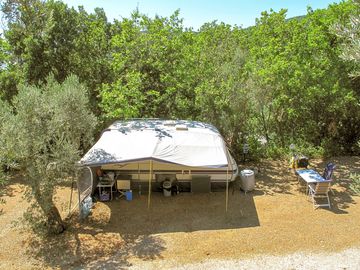 Pitches in the olive grove