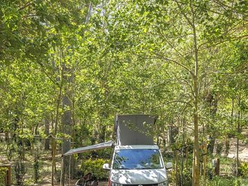 Pitches shaded by trees