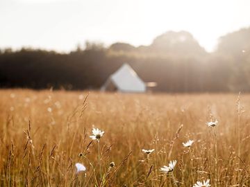 Hazy summer evenings