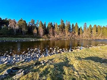 River dee at dinnet