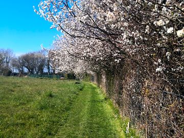 'le périphérique' path around the boundary