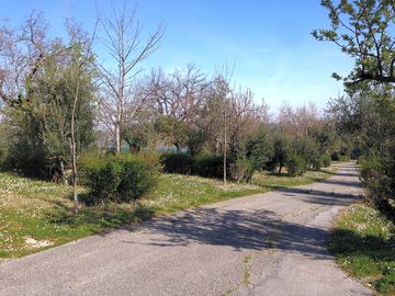 Path through the pitches