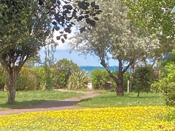 Views to the sea