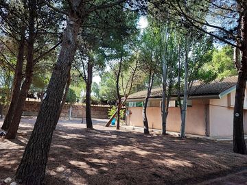 Pitches and facilities