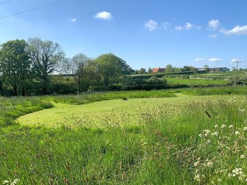 Mown space in the meadow