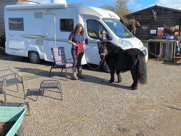 Hardstanding camping pitch and inquisitive Mabel