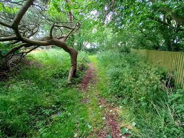 Walks to the coast