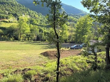 Pitch up among the trees