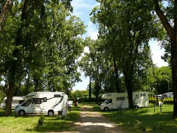 Large pitches shaded by trees