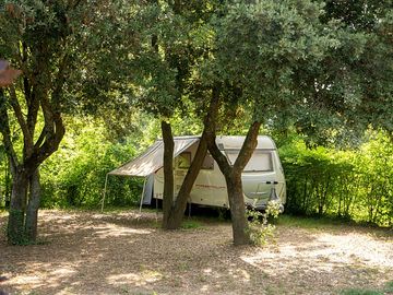 Caravan pitch under the trees