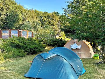 Grass pitches shaded by trees