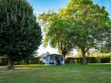 Grass pitches