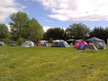 Camping fun