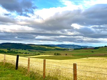 Rural views from the farm
