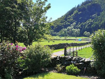 View from the garden in summer