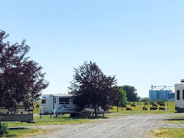 Park up on gravel and grass