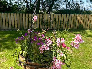 Hanging flower basket