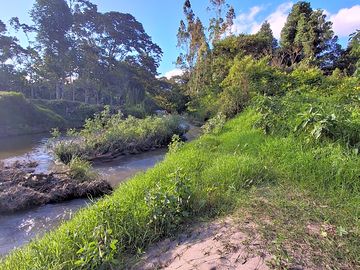 Camping area