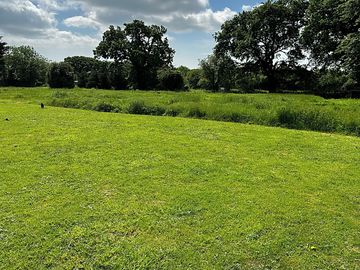 Grassy pitches