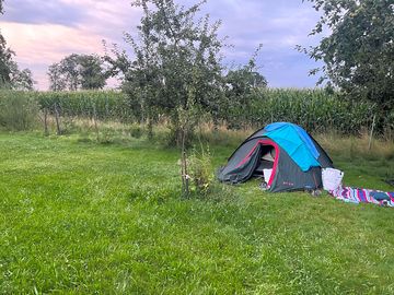 Put up your tent in Lisi Grüns Garden