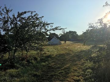View of the site