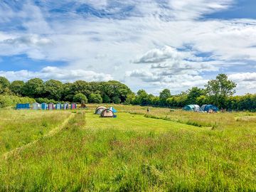 SIte grass pitches