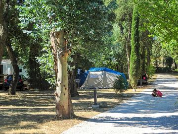 Spacious, partial shade pitches