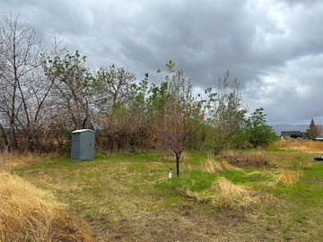 Clean portable toilets