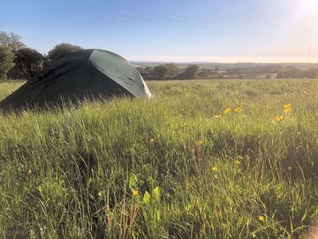 Camping field