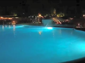 The pool