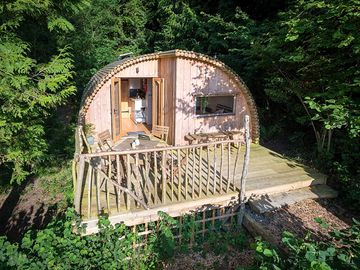 Bedw pod in the sunshine