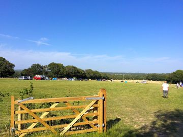 Spacious field with plenty of room to run around