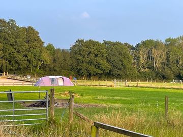 Peaceful site in the Sussex Weald