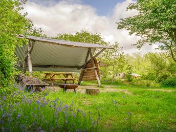 Bluebell Pitch