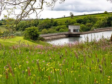 Scenery on site